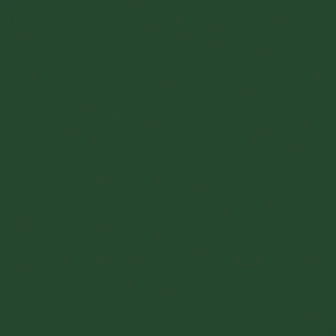 Fir Green RAL6009